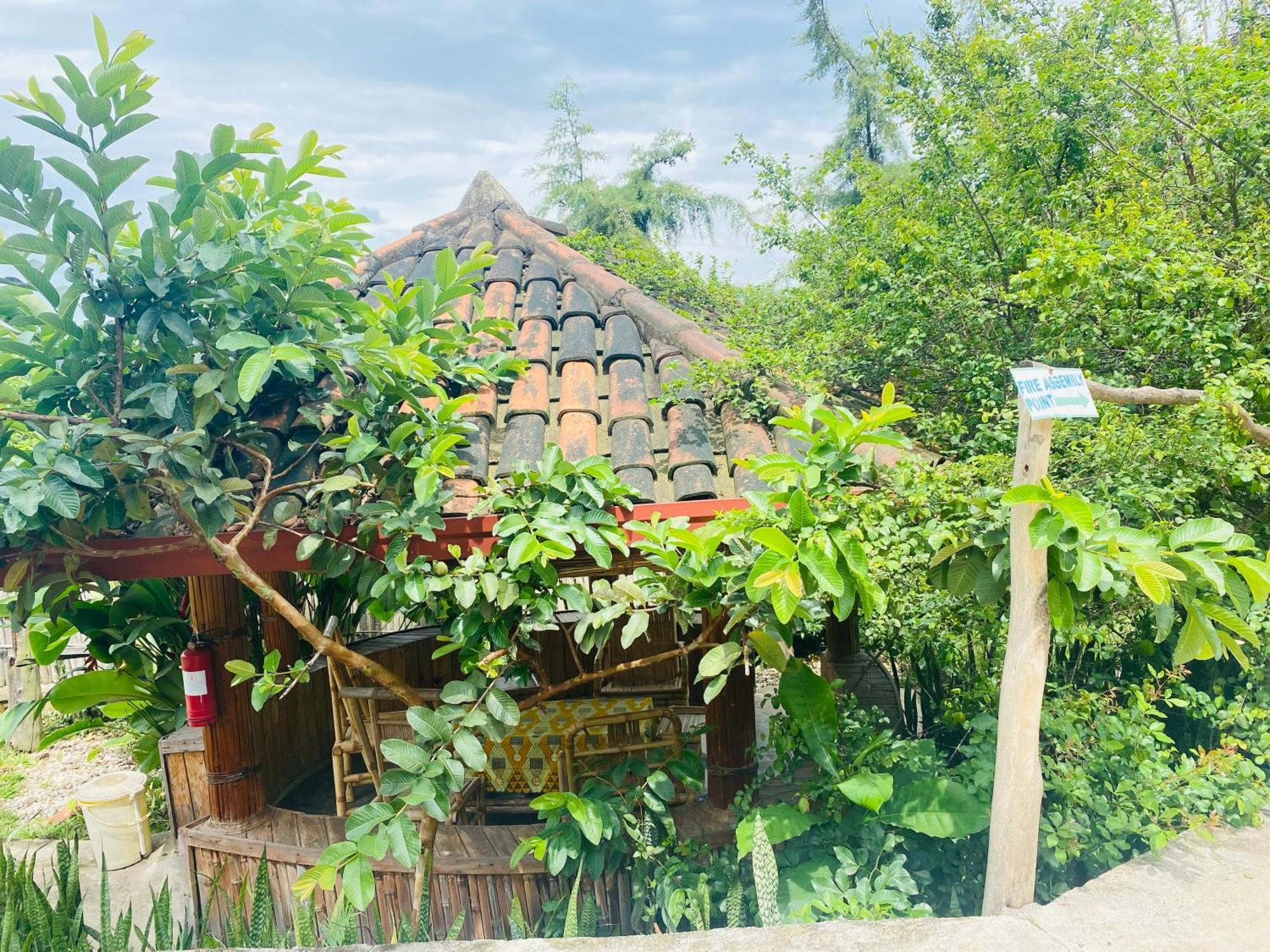Kivu Macheo Eco-Lodge Kibuye Екстериор снимка